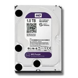 WD Purple WD10PURZ